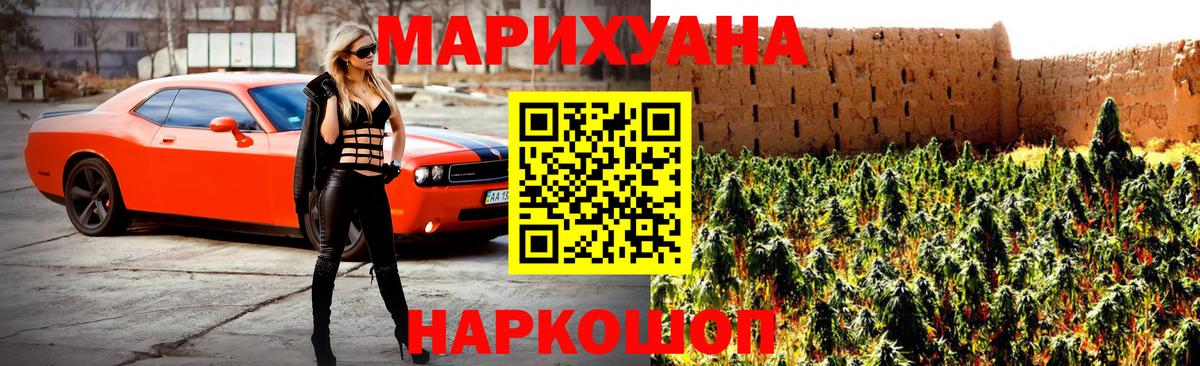 Каннабис планчик  Конопля гибрид  Мурино  МАРИХУАНА Ganja  Марихуана сатива  Вход с VPN 